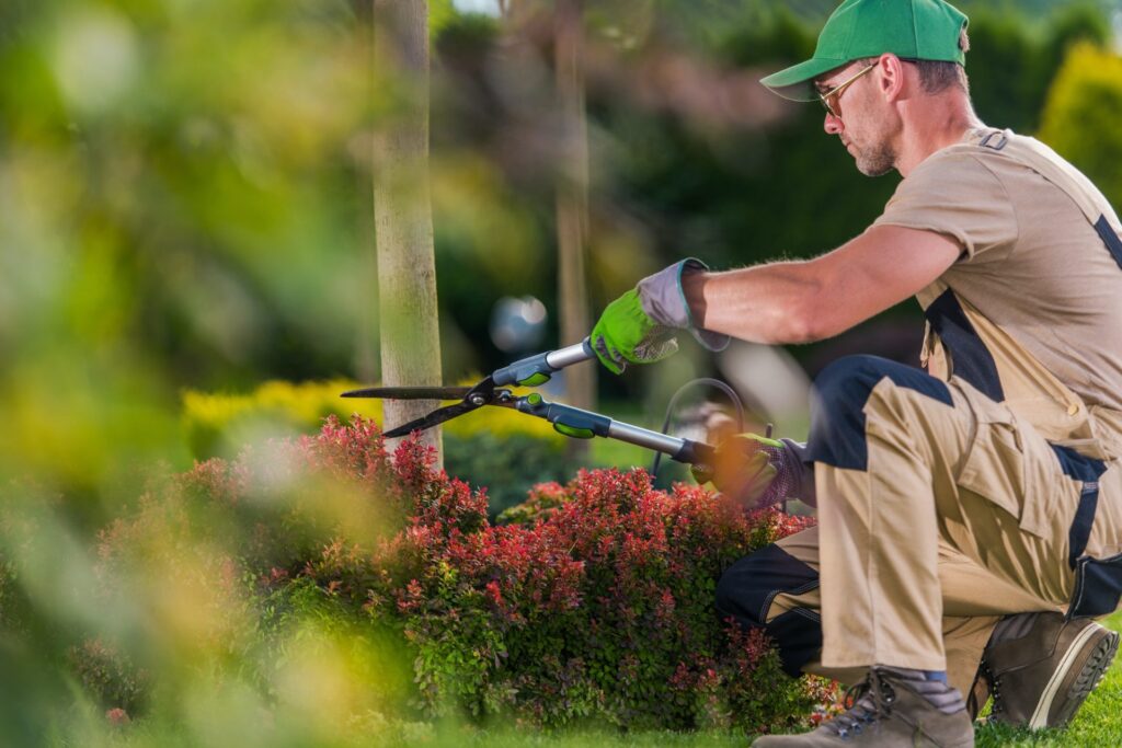 Murray Outdoor | Clermont #1 Lawn Care Service | Clermont Brick Pavers Contractor | Clermont Lawn Maintenance Service | Clermont Sod Contractor | Custom Docks Contractor Clermont | Custom Outdoor Kitchens Contractor Clermont | MurrayOutdoor.net